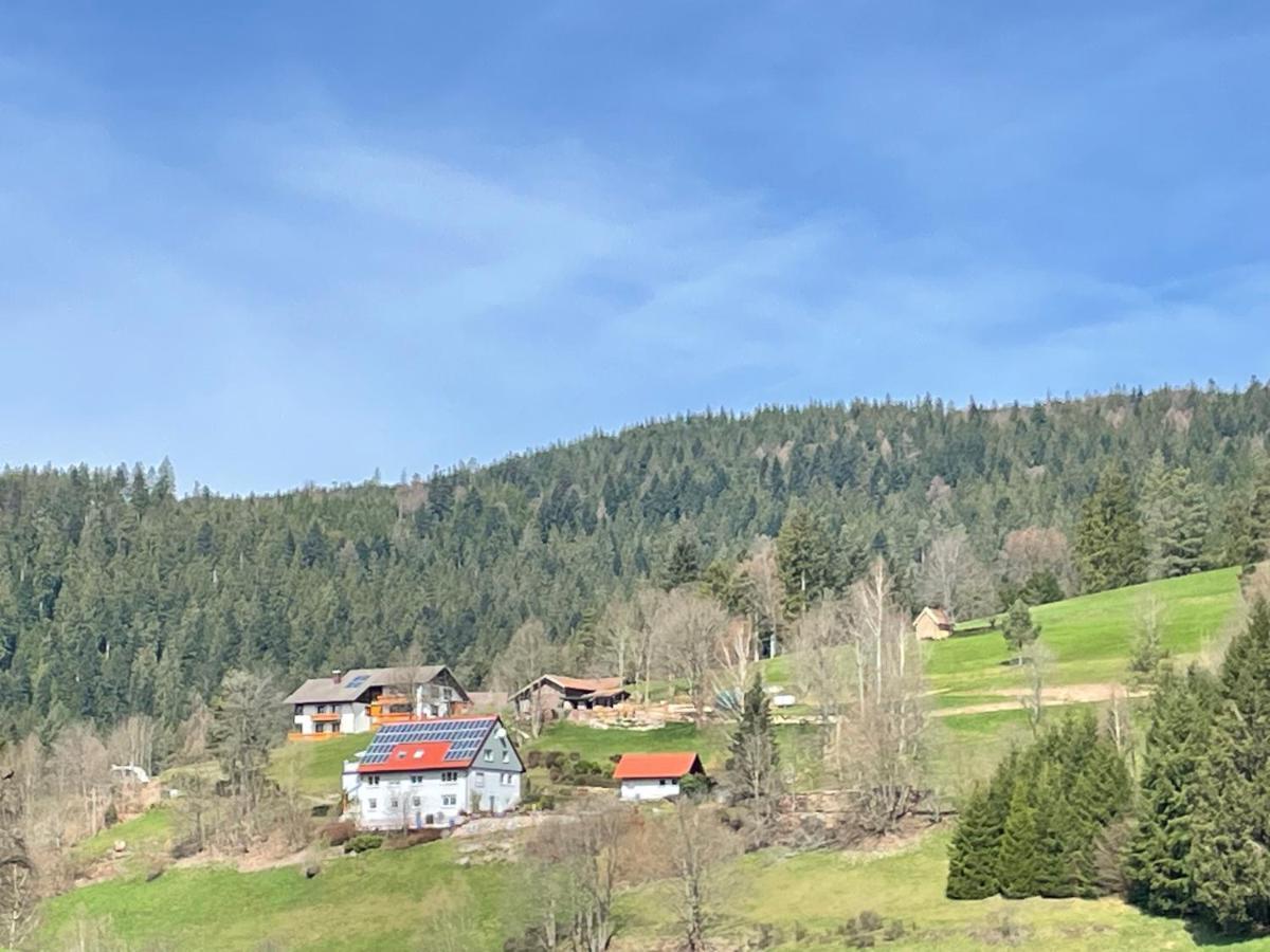 Altes Berghaus Διαμέρισμα Obertal  Εξωτερικό φωτογραφία