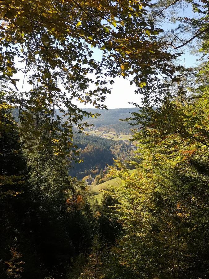 Altes Berghaus Διαμέρισμα Obertal  Εξωτερικό φωτογραφία