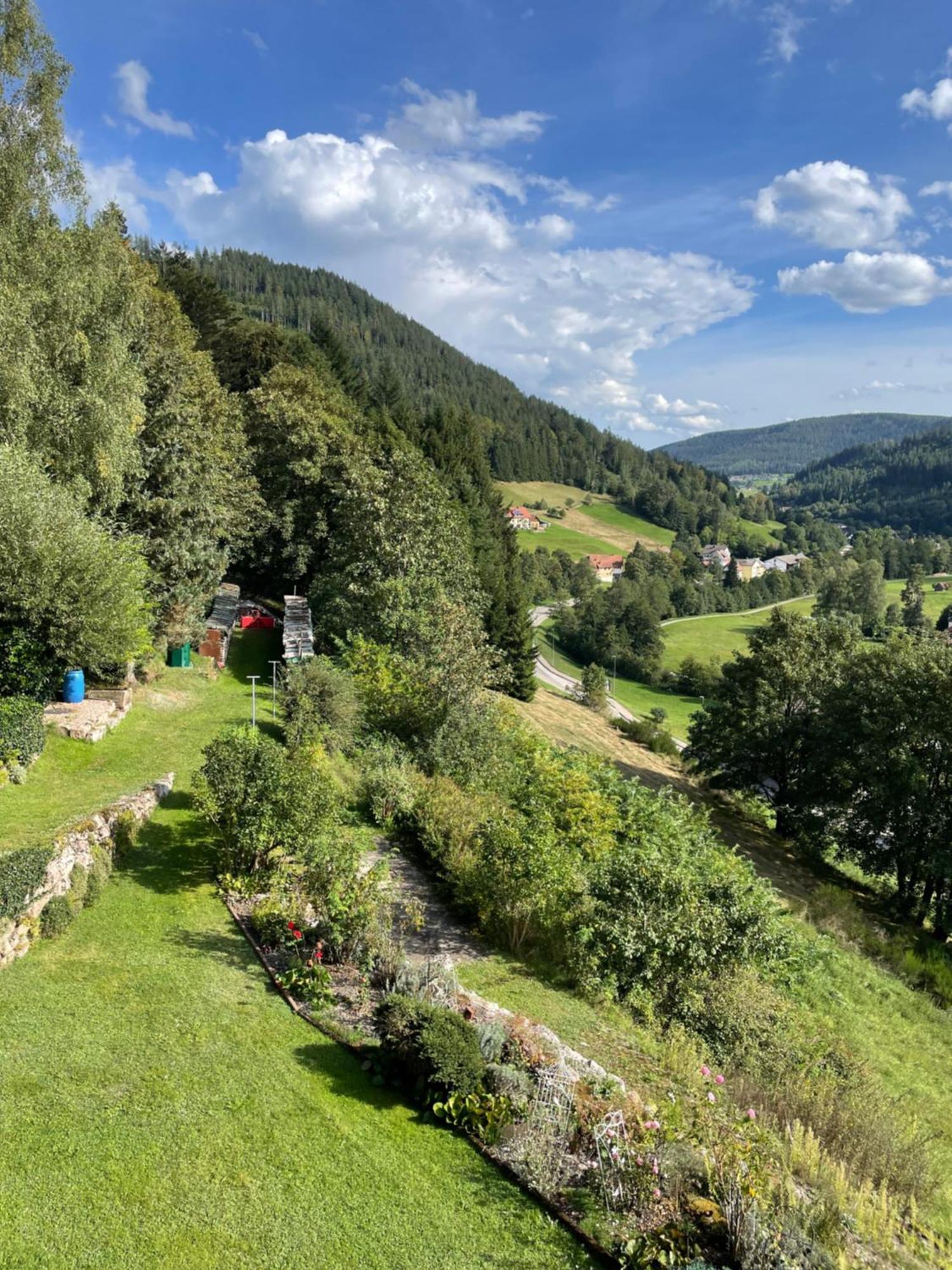 Altes Berghaus Διαμέρισμα Obertal  Εξωτερικό φωτογραφία